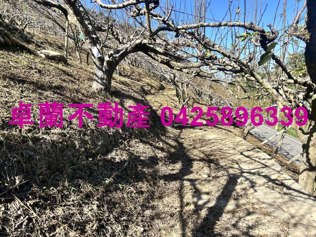 苗栗農地-3