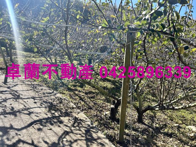 苗栗農地-5