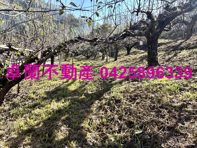 苗栗農地-9