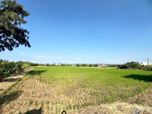 台中農地-2