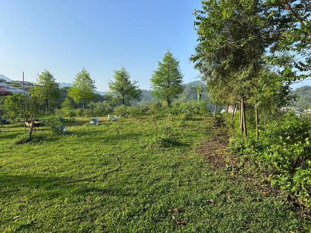 台中東勢農地-3