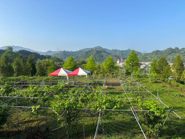 台中東勢農地-5