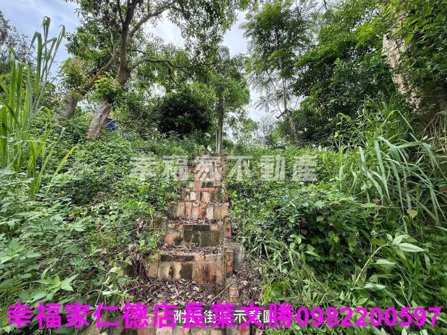 台南新化農地-12