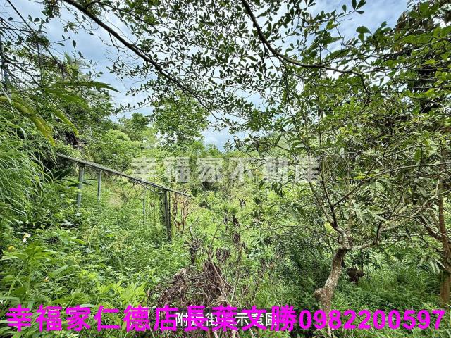 台南新化農地-1