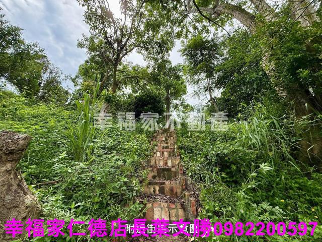 台南新化農地-7