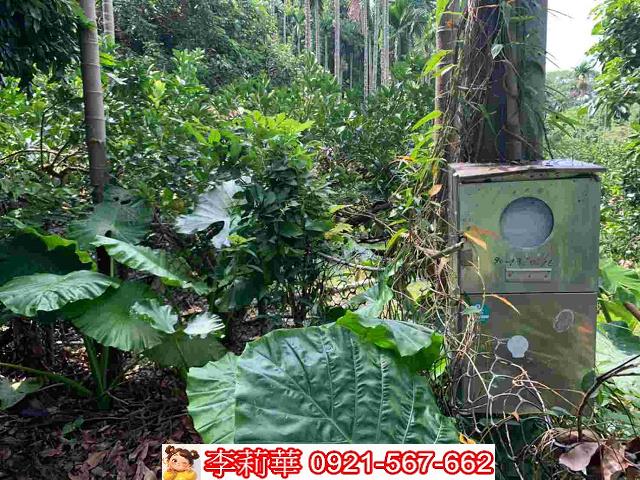 台南白河農地-7