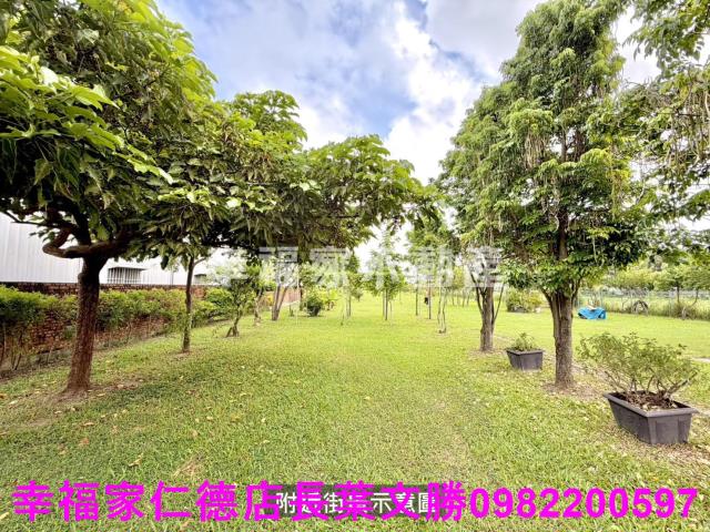 西港農地-12