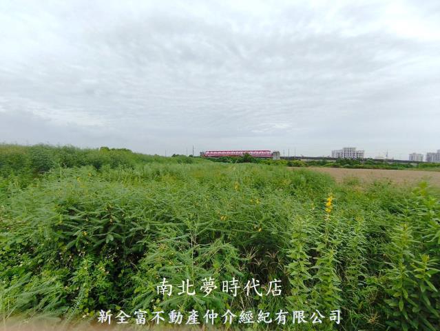 安定農地-5