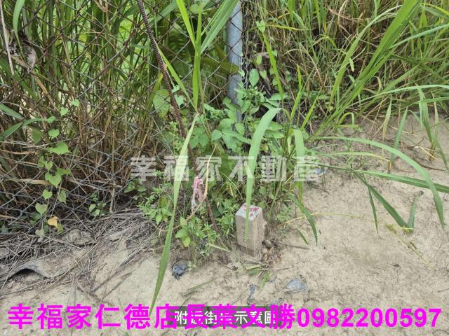 台南農地-11