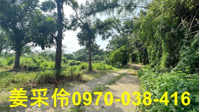 嘉義民雄農地-10