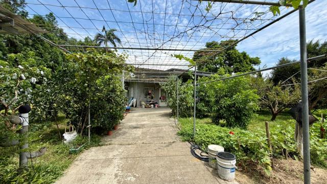 北埔農地-2
