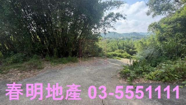 新埔農地-1