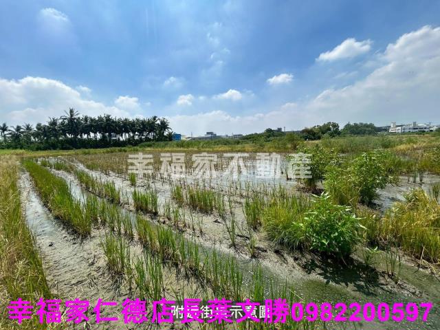 仁德農地-13