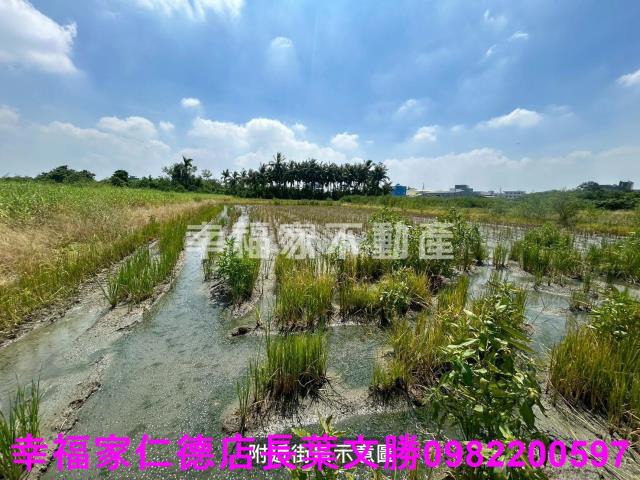 仁德農地-1