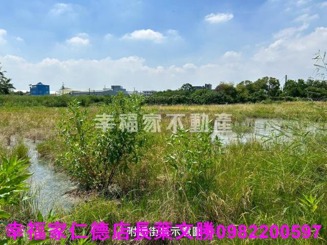 仁德農地-9