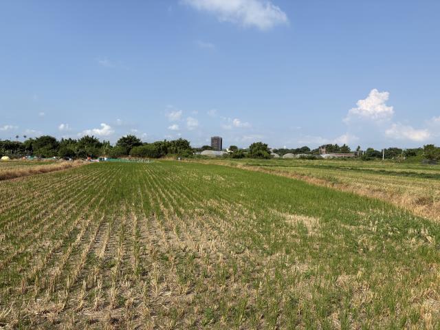 蘆竹農地-1