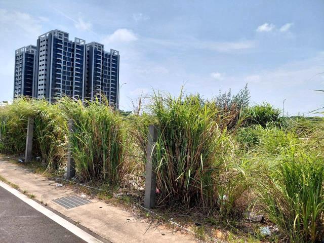 桃園建地-6