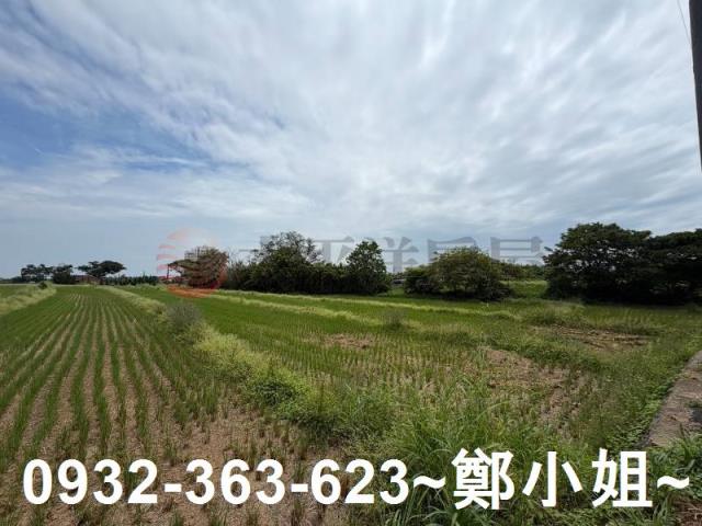 桃園農地-5