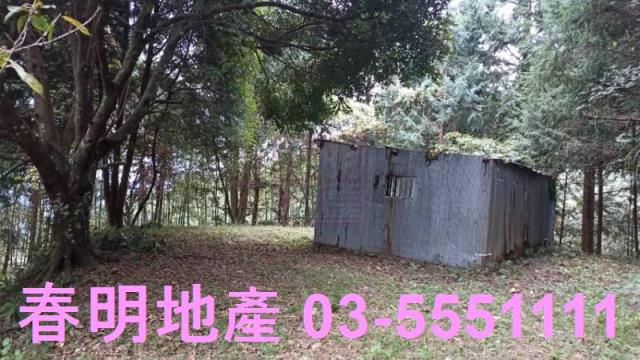 新竹林地-1