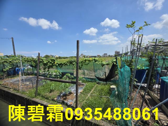 台南歸仁農地-3