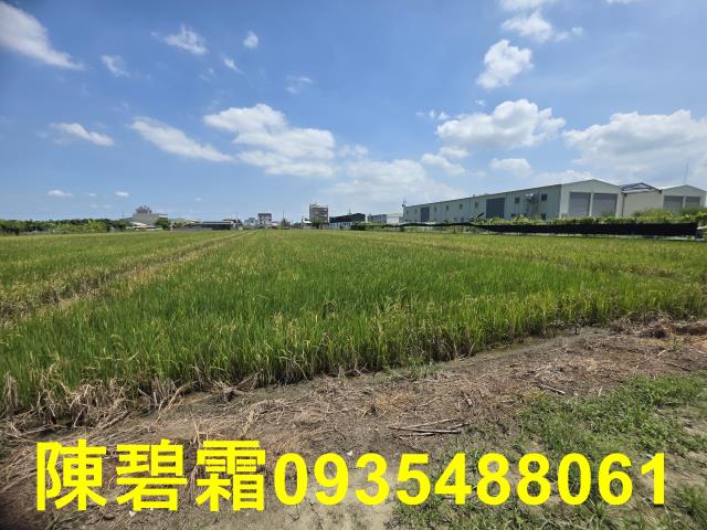 台南歸仁農地-6