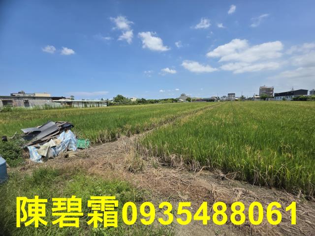 台南歸仁農地-7