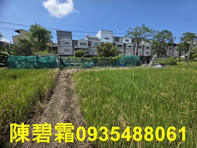 台南歸仁農地-8