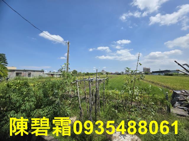 台南北區農地-2