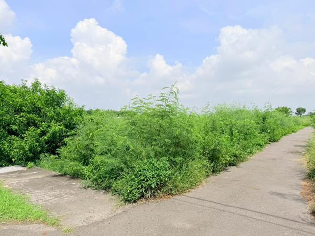 台南七股農地-1