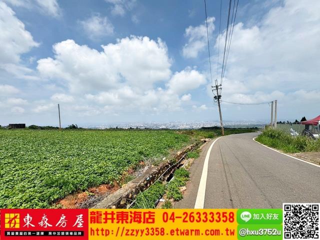台中沙鹿旱-4