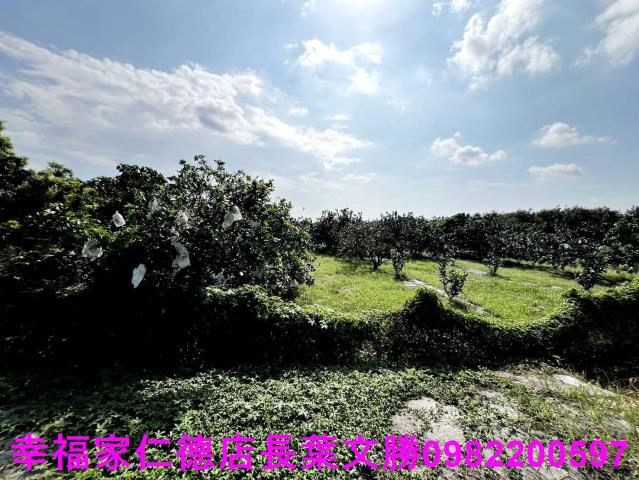 台南佳里農地-13