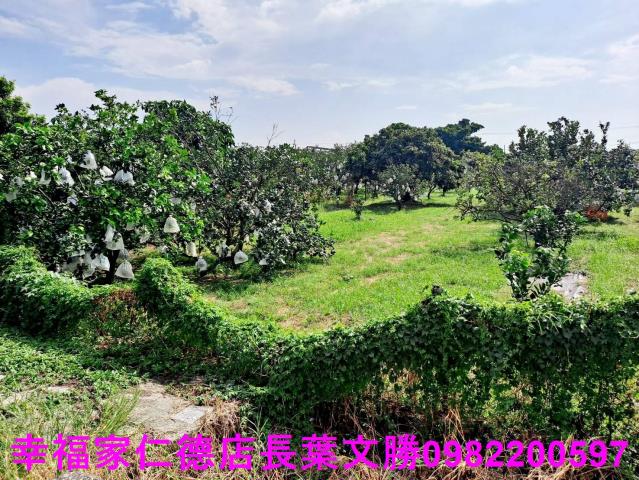 台南佳里農地-1