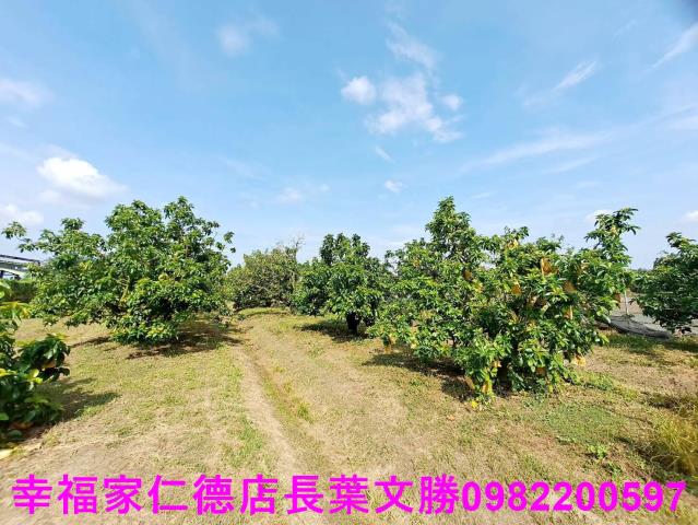 台南佳里農地-3