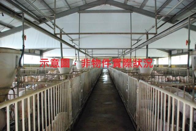 屏東鹽埔農地-1