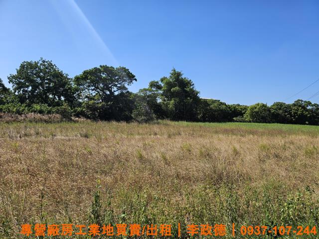 蘆竹農地-2