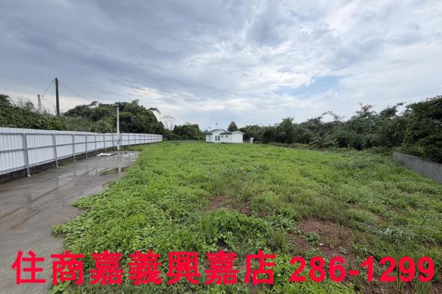 大林農地-2