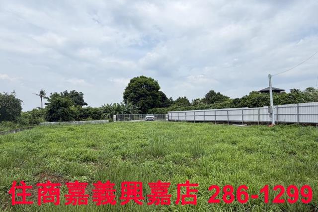 大林農地-3