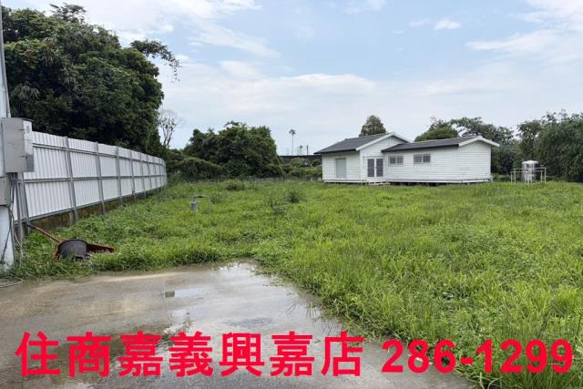 大林農地-5