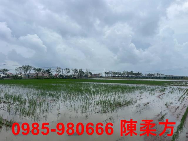台南農地-12