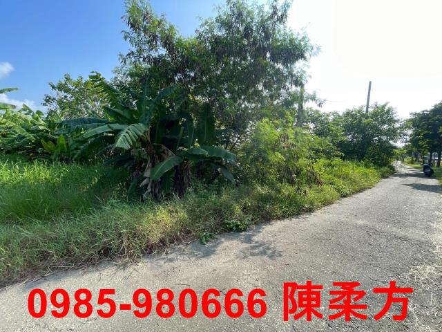 嘉義農地-4