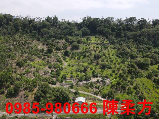 嘉義農地-10