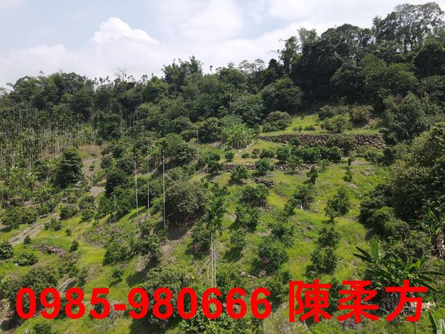 嘉義農地-12