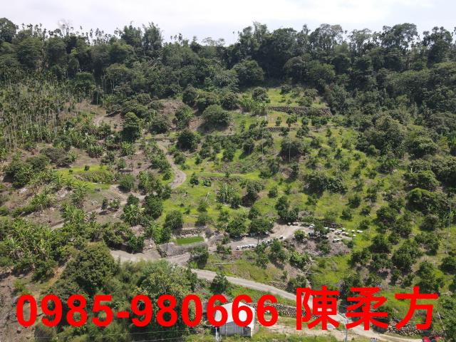 嘉義農地-5