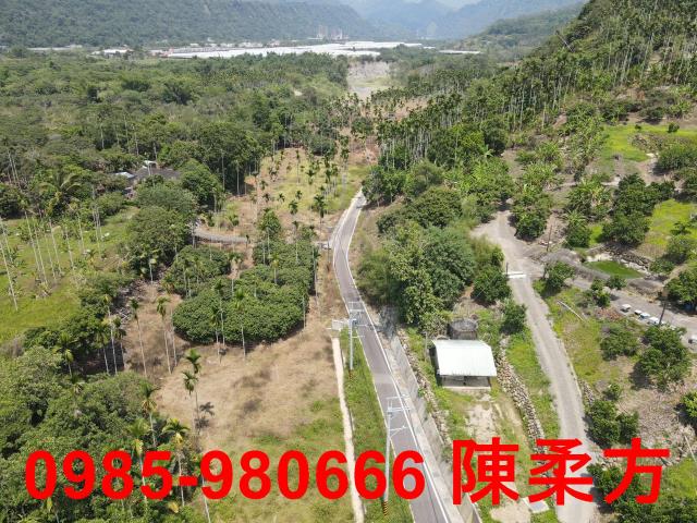 嘉義農地-9