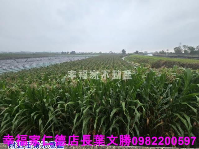 台南農地-14