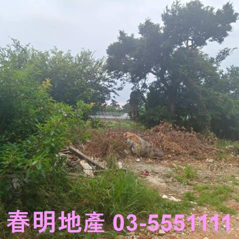 新竹農地-6