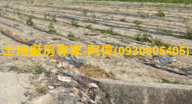 高雄大寮農地-1