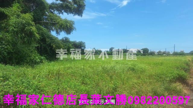 台南西港農地-15
