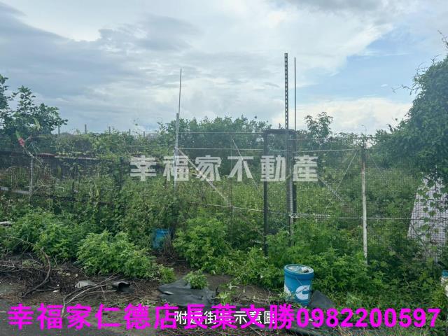台南西港農地-12