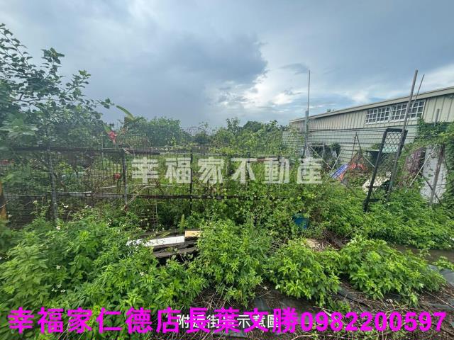 台南西港農地-13